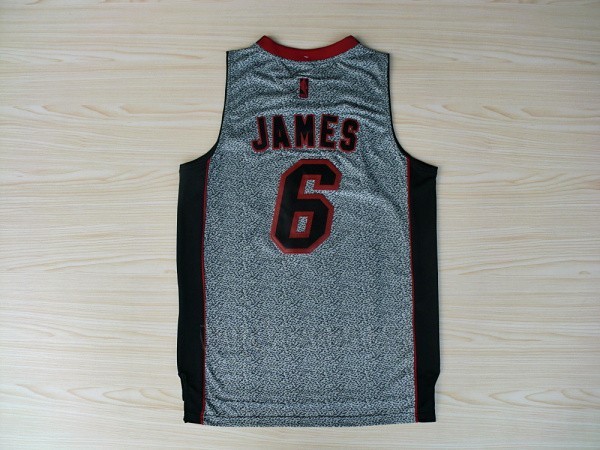 Camiseta Moda Estatica Miami Heat LeBron James #6 Gris